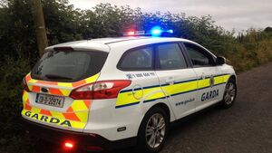 Car reversed into petrol pump at Laois filling station