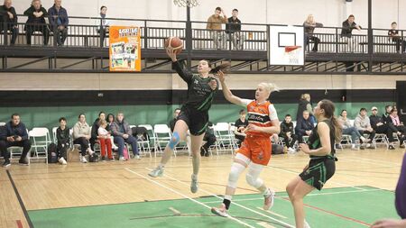 Panthers no match for defending champions Killester despite a bright start
