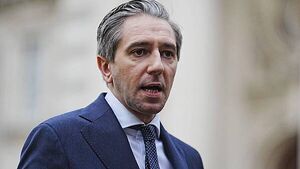 State age verification for websites an ‘important first step’, says Harris