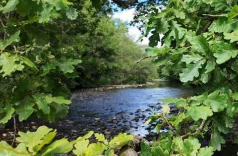 Community water forum in Laois this week - News - Laois Nationalist