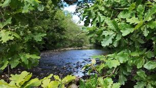 <p>Nore Vision works to protect water quality in the river's catchment area</p>