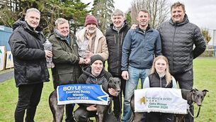 <p>John Boyle, sponsor of the BoyleSports Coursing Derby presents the trophy to Ray Conroy and Ollie Dunne after their win with homebred Seven Barrows, Ollie Dunne holds the breeders trophy. Also included, trainer Gerry Holihan, Paudie Lyons, Gavin John and Ava Lyons who holds the winner of the Oaks, Daoimean Dubh, litter sister to the Derby winner                Photo: Yvonne Harrington</p>