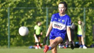 <p>Emily Lacey scored an impressive two goal and five points for Laois in their National League defeat of Limerick in Rathkeale on Sunday Photo: Denis Byrne</p>