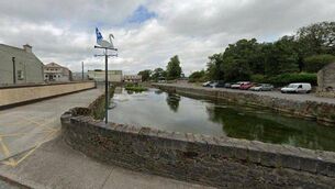 <p>The man-made pond beside the Meadow Meats factory in Rathdowney. Image: Google Maps</p>