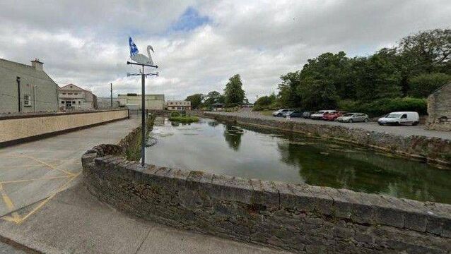 <p>The man-made pond beside the Meadow Meats factory in Rathdowney. Image: Google Maps</p>