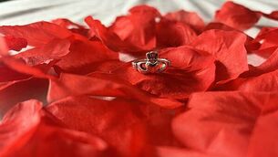 Bid to recall Stormont Assembly next week Bid to recall Stormont Assembly next week