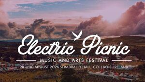 Laois man evicted from Electric Picnic caused public order offences on Main Street Stradbally