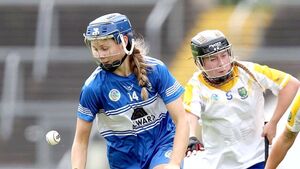 Laois make the journey worthwhile with hard earned point against Kerry