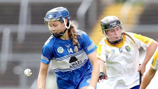 Laois make the journey worthwhile with hard earned point against Kerry 