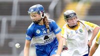 Laois make the journey worthwhile with hard earned point against Kerry 