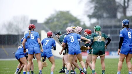 Laois make the journey worthwhile with hard earned point against Kerry
