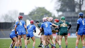 Laois make the journey worthwhile with hard earned point against Kerry