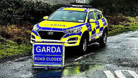 Man (20s) in serious condition and woman (20s) injured after hit-and-run in Cavan
