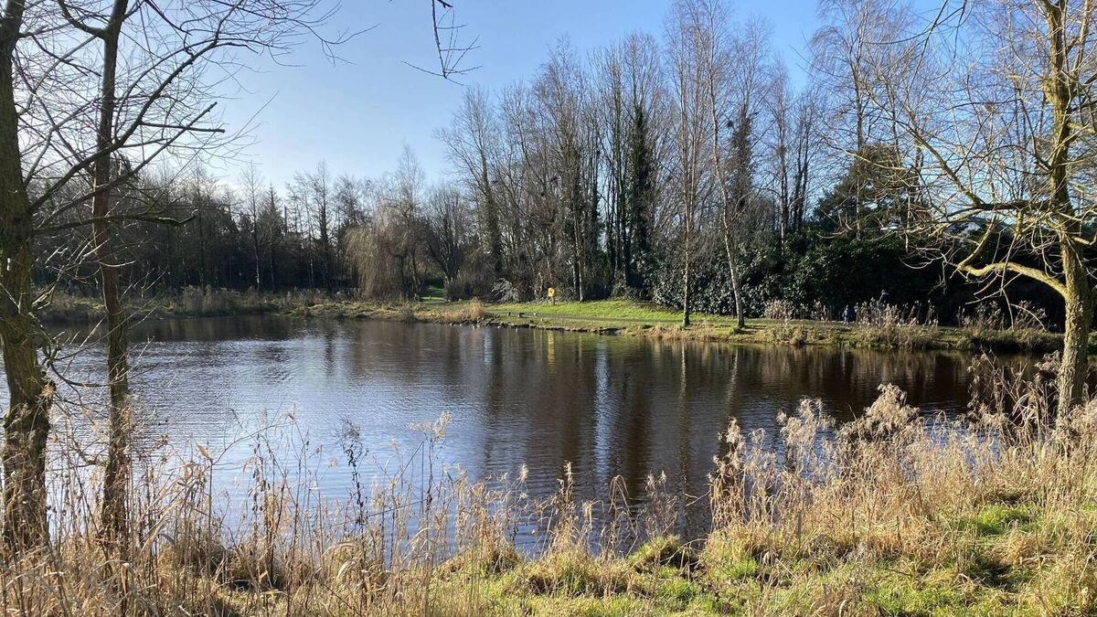 Public meeting on Laois water quality