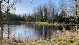 <p>Still waters at the People's Park in Portlaoise. Image: LAWPRO</p>