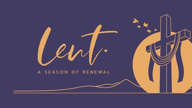 Lent ‒ a time to grow and turn to the light