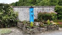 Historic Laois water pump to be restored and renamed