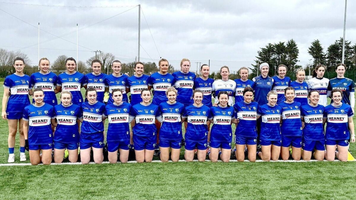 Gale force drama in Clarecastle as Laois fall short against the Banner