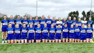 Gale force drama in Clarecastle as Laois fall short against the Banner