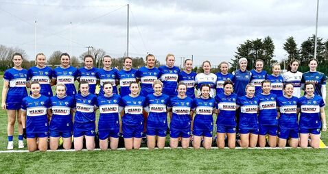 Gale force drama in Clarecastle as Laois fall short against the Banner 