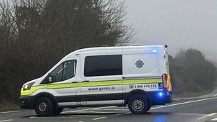 <p>Gardai and emergency services are at the scene.</p> <p>Gardai and emergency services are at the scene.</p>