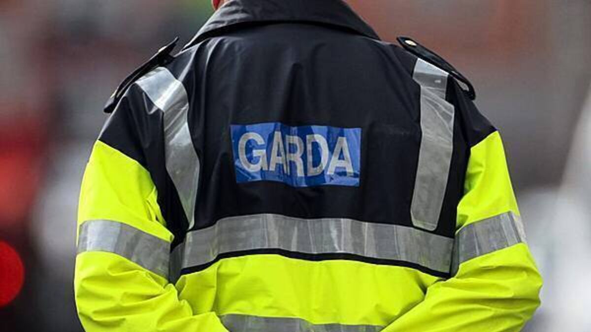 Fraud jumped in 2025 even as number of major crimes fell – gardaí