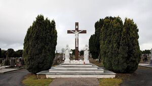 Grave concerns expressed over lack of space at Laois cemetery 