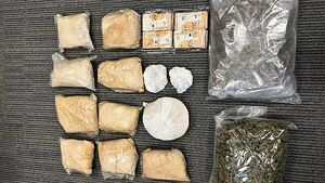 Man (30s) arrested after over €670k worth of drugs seized in Dublin