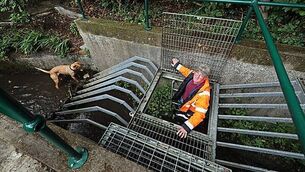 Majority of Irish consumers report being targeted by scammers, survey finds Majority of Irish consumers report being targeted by scammers, survey finds