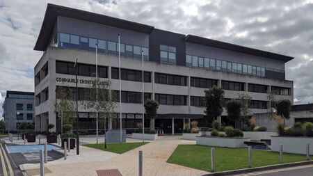 Laois councillors says chairman of Bord Bia must resign over conflict of interest