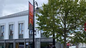 Proposal for display cases in Portlaoise library while waiting for museum
