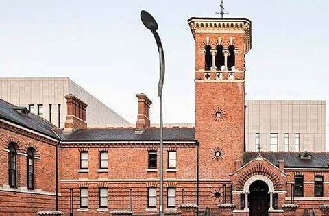 Chinese students beaten with crowbars left Ireland following vicious attack