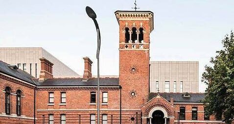 Chinese students beaten with crowbars left Ireland following vicious attack