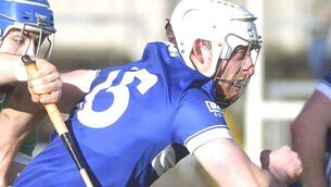 <p>Martin Phelan is one of the Laois players to impress in this year's NHL campaign Photo: Denis Byrne</p> <p>Martin Phelan is one of the Laois players to impress in this year's NHL campaign Photo: Denis Byrne</p>