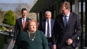 'Extensive' Garda file on pro-Palestinian activists charged with damage of US military plane, court hears