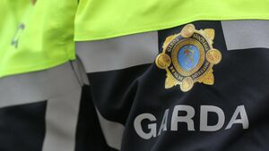 Garda hopeful forged drug test result, Kildare court hears