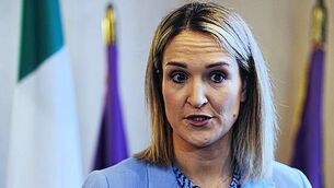 Fota Wildlife Park extends closure over bird flu outbreak Fota Wildlife Park extends closure over bird flu outbreak