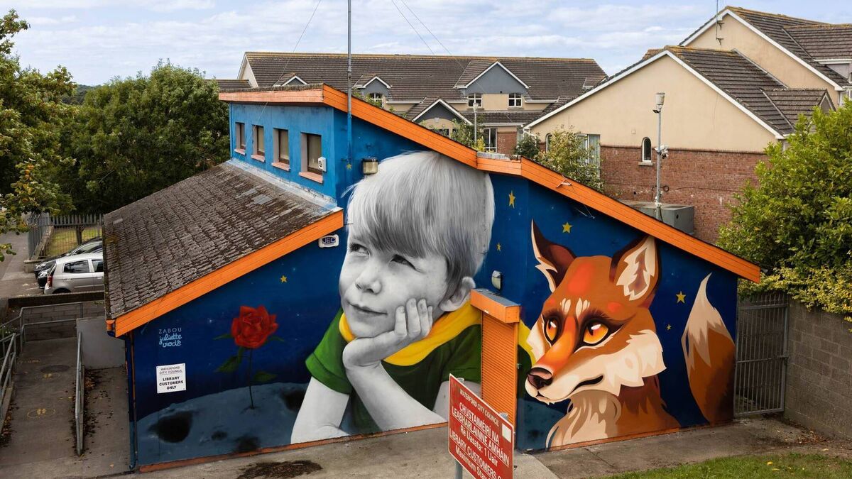 Facial Recognition in Portlaoise