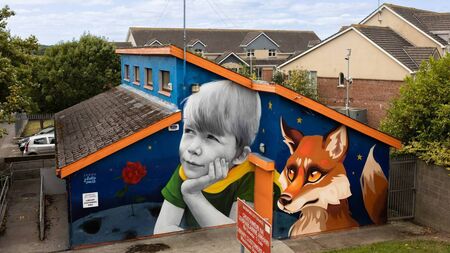 Facial Recognition in Portlaoise