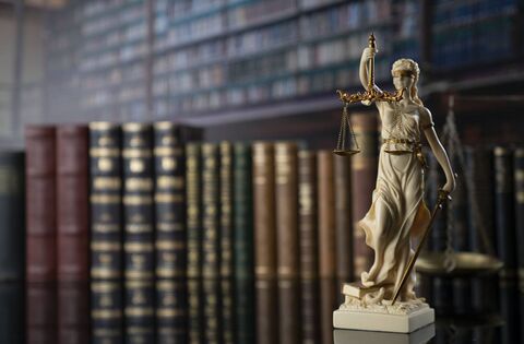 ‘Tourist’ guilty of stealing airfryer from Laois store