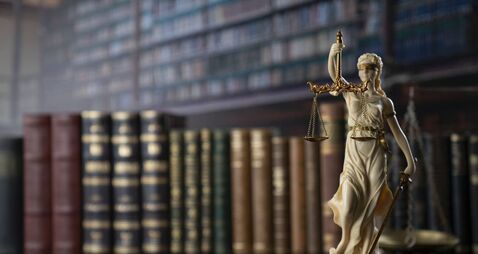 ‘Tourist’ guilty of stealing airfryer from Laois store 