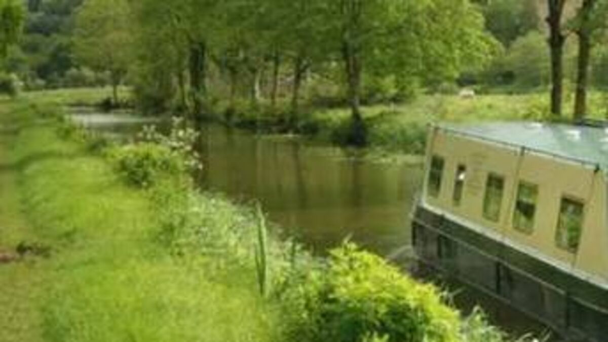 Laois Barrowline cruise company highlight issues detrimental to their business as tourist season gets underway