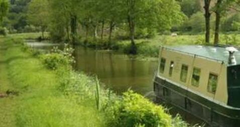 Laois Barrowline cruise company highlight issues detrimental to their business as tourist season gets underway