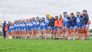 Laois edge past Carlow to secure second league win