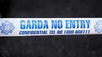 Woman (20s) dies after road collision in Tipperary Woman (20s) dies after road collision in Tipperary