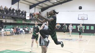 <p>Portlaoise Panthers' Amiri Stewart takes to the air in this attack in the Men's Division over Team North West on Saturday Photo: David Maher</p>