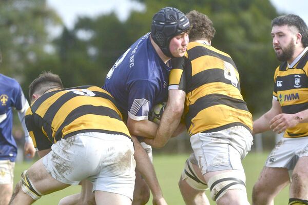 Portlaoise's Aaron Coiley drives determinedly at the Newbridge defence Photo: Denis Byrne