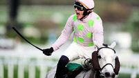 Cheltenham Day One: Lossiemouth leaves Champion Hurdle rivals toiling