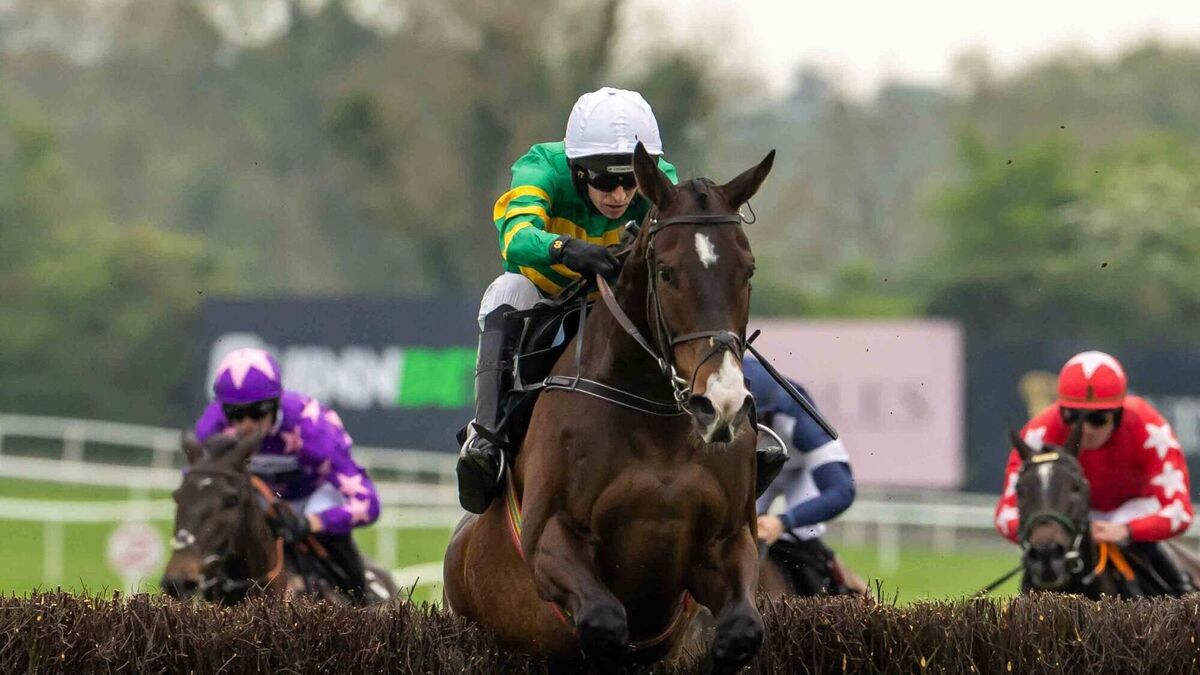 Ruby Walsh gives his picks for day two of the Cheltenham Festival