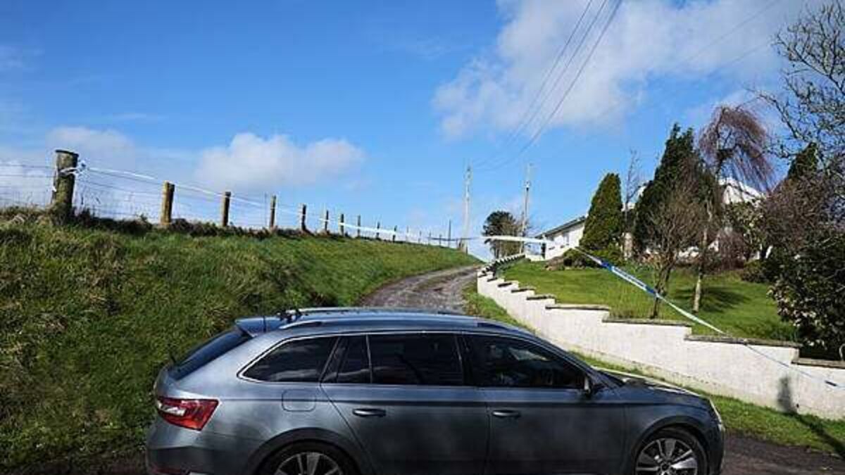 Police at scene of two sudden deaths in Co Tyrone